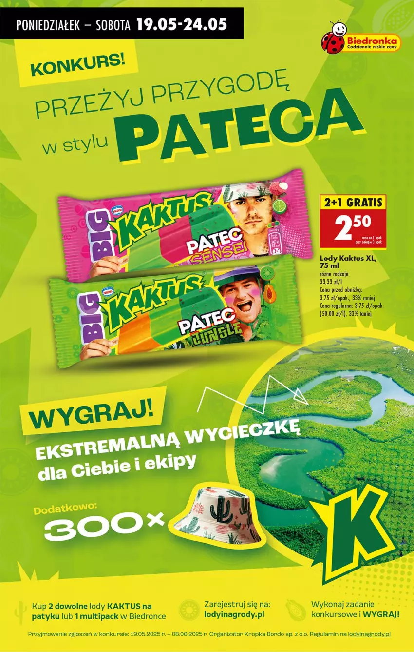 Gazetka promocyjna Biedronka - Od Poniedziałku - ważna 19.05 do 24.05.2025 - strona 66 - produkty: Gra, Kaktus, Lody