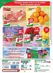 Gazetka promocyjna Dino - Gazetka - ważna od 12.12 do 12.12.2023 - strona 21 - produkty: Sok, Ser, Gwiazda, Tera, Czekolada, Olej rzepakowy, Olej, Milka, LG, Fa