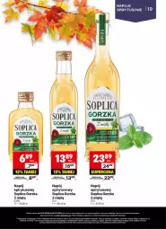 Gazetka promocyjna Delikatesy Centrum - Delibarek DC42-DC43 - Gazetka - ważna od 29.10 do 29.10.2025 - strona 19 - produkty: Rum, Rama, Soplica, Napoje, Napój