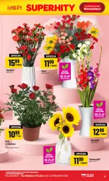 Gazetka promocyjna PoloMarket - Gazetka Polomarket 22.07-28.07 - Gazetka - ważna od 28.07 do 28.07.2026 - strona 61 - produkty: Róża, Bukiet, Miecz