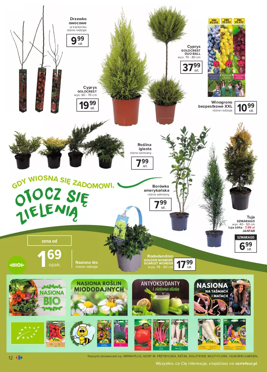 Gazetka promocyjna Carrefour - Gazetka Ogród - ważna 15.03 do 03.04.2021 - strona 12 - produkty: Borówka, Borówka amerykańska, Flora, Tonik, Wino