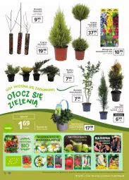 Gazetka promocyjna Carrefour - Gazetka Ogród - Gazetka - ważna od 03.04 do 03.04.2021 - strona 12 - produkty: Borówka, Borówka amerykańska, , Tonik, Flora, Wino