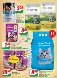 Gazetka promocyjna Dino - Gazetka - ważna od 25.02 do 25.02.2025 - strona 58 - produkty: Mokra karma, Cif, Whiskas, Mars, Sucha karma