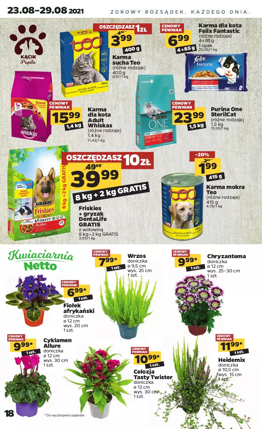 Gazetka promocyjna Netto - ważna 23.08 do 28.08.2021 - strona 18 - produkty: Chryzantema, Cyklamen, Fa, Fanta, Felix, Friskies, Gra, Gry, Pur, Purina, Whiskas