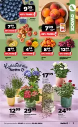 Gazetka promocyjna Netto - Od Poniedziałku - Gazetka - ważna od 20.06 do 20.06.2026 - strona 7 - produkty: Borówka, Róża, Morela, Kiwi, Owoce, Wino, Mango