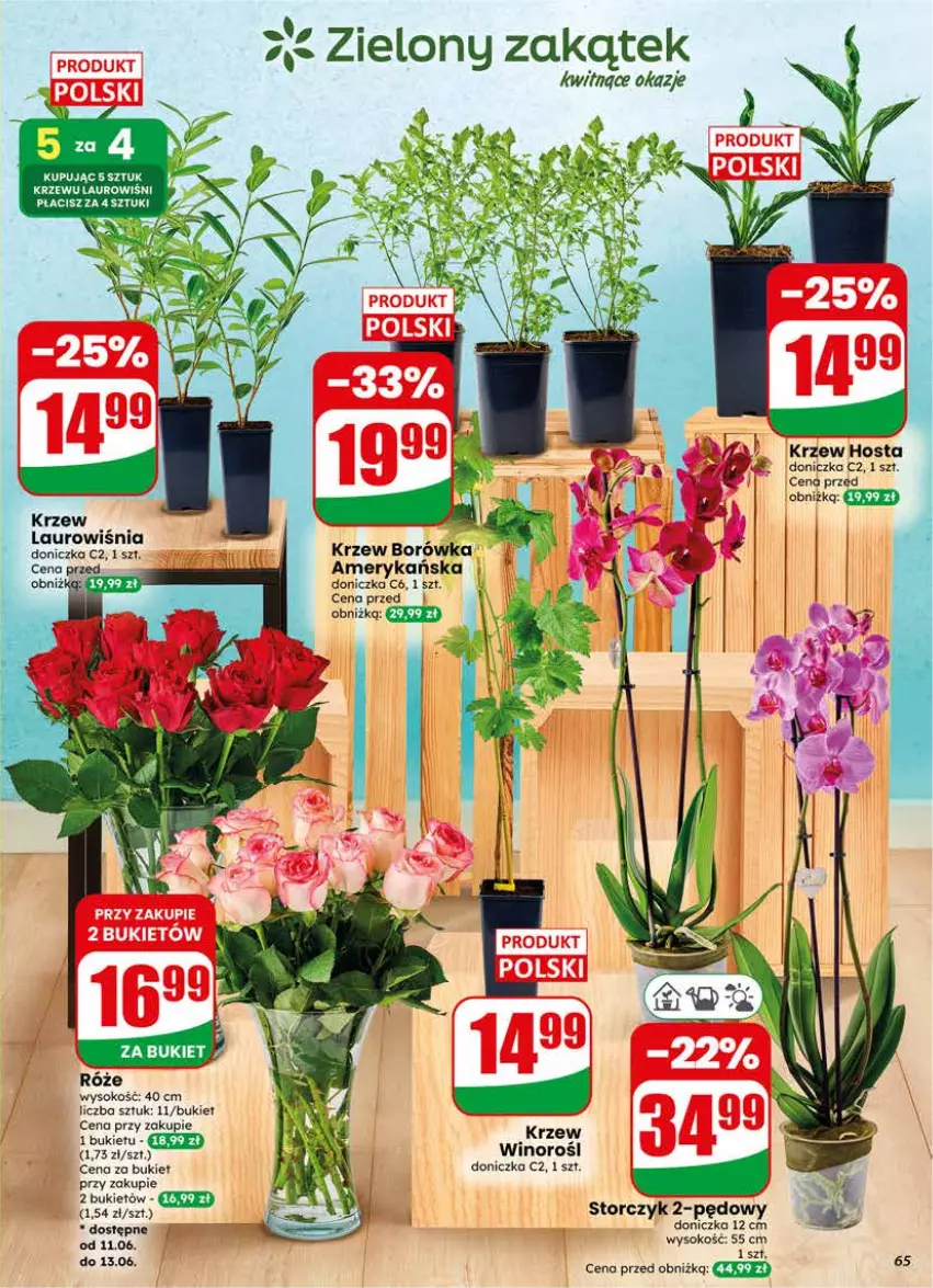 Gazetka promocyjna Dino - Gazetka 24 / 2026 - ważna 10.06 do 16.06.2026 - strona 65 - produkty: Borówka, Bukiet, Laur, Sok, Storczyk, Wino