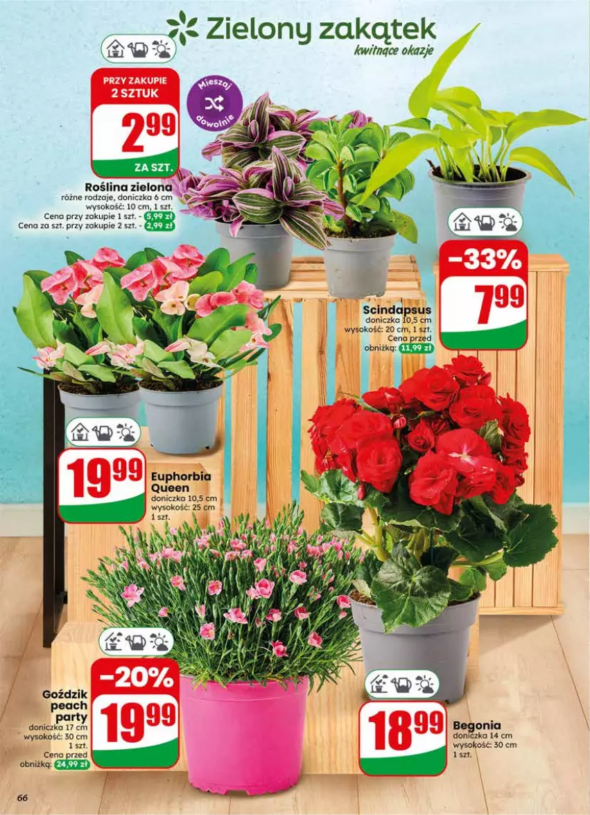 Gazetka promocyjna Dino - Gazetka 24 / 2026 - ważna 10.06 do 16.06.2026 - strona 66 - produkty: Sok