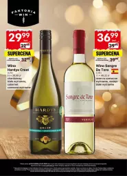 Gazetka promocyjna Delikatesy Centrum - Delibarek DC01-DC02 - Gazetka - ważna od 14.01 do 14.01.2026 - strona 6 - produkty: Ser, Rum, Rama, Chardonnay, Wino