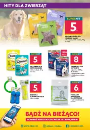Gazetka promocyjna Dealz - NOWY SKLEPWarszawa, Centrum Skorosze - Gazetka - ważna od 05.04 do 05.04.2022 - strona 8 - produkty: Kurczak, Ryż, Gra, Zabawka, Przysmaki, Wołowina, Podkład