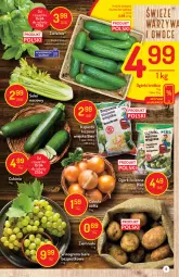 Gazetka promocyjna Delikatesy Centrum - Gazetka Delikatesy Centrum - Gazetka - ważna od 21.04 do 21.04.2021 - strona 9 - produkty: Pietruszka, Kolendra, Winogrona, Bazyl, Bazylia, Wino, Mięta