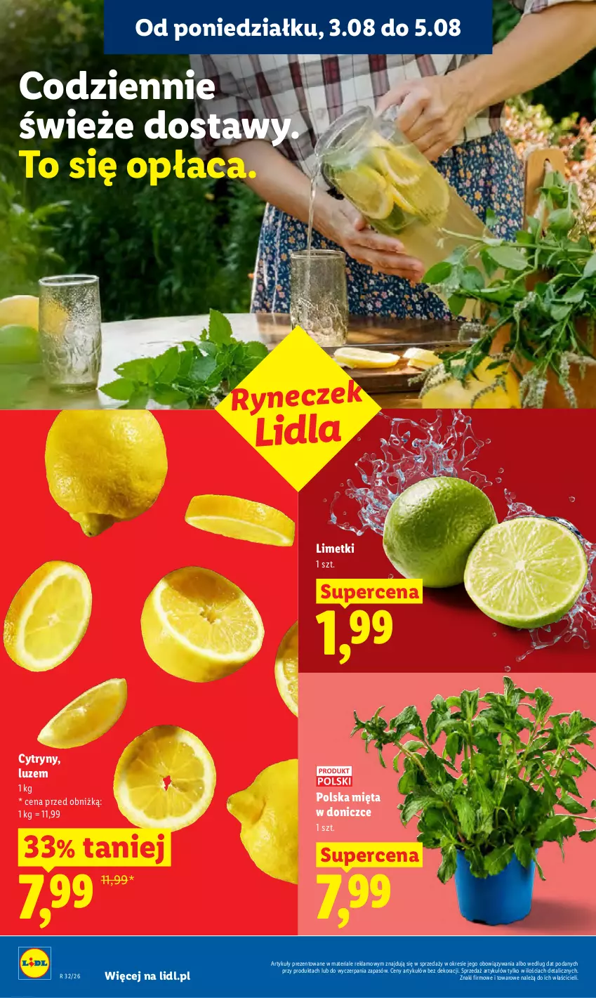 Gazetka promocyjna Lidl - Gazetka ważna od 3.08 do 5.08 - ważna 03.08 do 05.08.2026 - strona 40 - produkty: Cytryny, Mięta