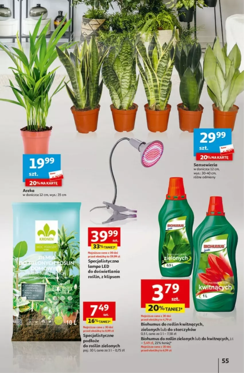 Gazetka promocyjna Auchan - ważna 01.02 do 07.02.2024 - strona 51 - produkty: Biohumus, Lampa, Lampa LED, Mus, Podłoże do roślin, Storczyk