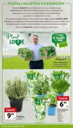 Gazetka promocyjna Intermarche - Gazetka - ważna od 08.03 do 08.03.2025 - strona 6 - produkty: Piec, Gra, Kolendra, Zioła w doniczce, Zdrowie, Bazyl, Bazylia, Vegeta, Mięta, LG