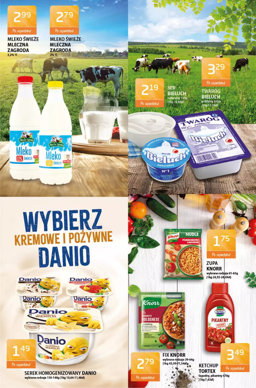 Gazetka promocyjna ABC - Gazetka - ważna 08.04 do 22.04.2021 - strona 3 - produkty: Danio, Fa, Ketchup, Knorr, Mleko, Ser, Serek, Serek homogenizowany, Twaróg, Zupa