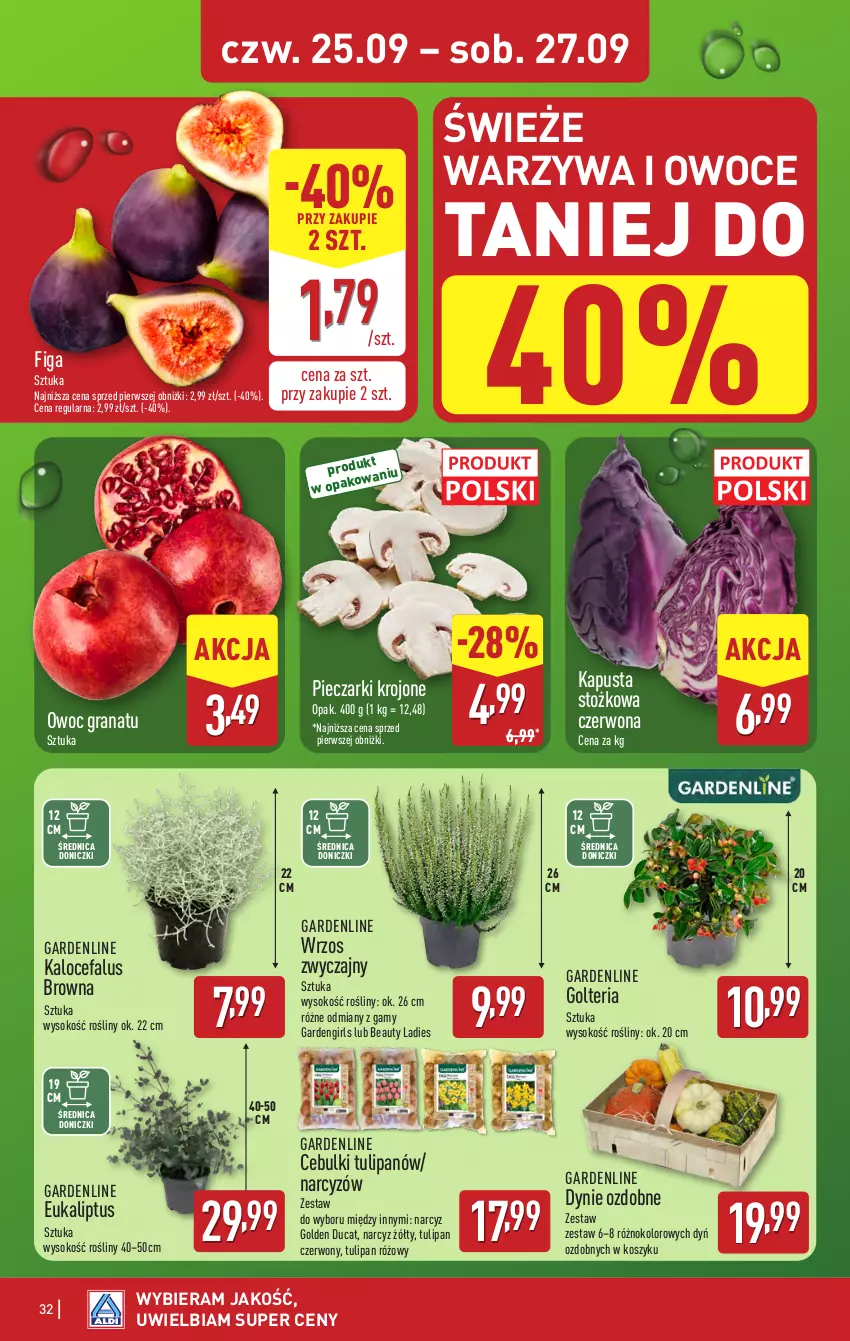 Gazetka promocyjna Aldi - Pełna oferta - ważna 22.09 do 27.09.2025 - strona 32 - produkty: Fa, Gra, Granat, Kosz, Narcyz, Owoce, Piec, Pieczarki krojone, Sok, Tulipan, Warzywa, Warzywa i owoce