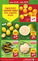 Gazetka promocyjna Aldi - Pełna oferta - Gazetka - ważna od 27.09 do 27.09.2025 - strona 5 - produkty: Cytryny, Pomarańcze, Pomelo