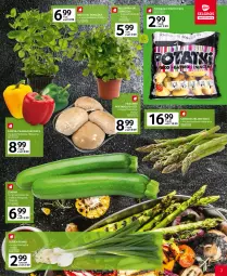 Gazetka promocyjna Selgros - Katalog Grill - Gazetka - ważna od 02.05 do 02.05.2023 - strona 3 - produkty: Piec, Cebula, Por, Papryka słodka, Kolendra, Bell, Papryka, Ziemniaki, Mięta