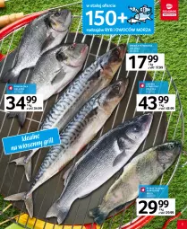 Gazetka promocyjna Selgros - Katalog Grill - Gazetka - ważna od 02.05 do 02.05.2023 - strona 5 - produkty: Pstrąg tęczowy, Pstrąg, Grill