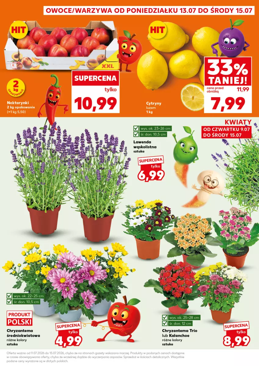 Gazetka promocyjna Kaufland - Mocny Start - ważna 13.07 do 15.07.2026 - strona 3 - produkty: Chryzantema, Kalanchoe