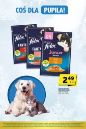 Gazetka promocyjna ABC - Gazetka - ważna od 23.01 do 23.01.2024 - strona 21 - produkty: Felix