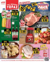 Gazetka promocyjna Topaz - Gazetka - Gazetka - ważna od 20.11 do 20.11.2024 - strona 1 - produkty: Pierogi, Ser, Por, Gra, Kapustą, Syrop, Herbapol