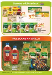 Gazetka promocyjna Gama - Gazetka Gama - Gazetka - ważna od 04.08 do 04.08.2023 - strona 8 - produkty: Ketchup, Sos, Mus, Zupa, Bulion, Winiary, Lion, Grill, Kamis, Knorr, Musztarda