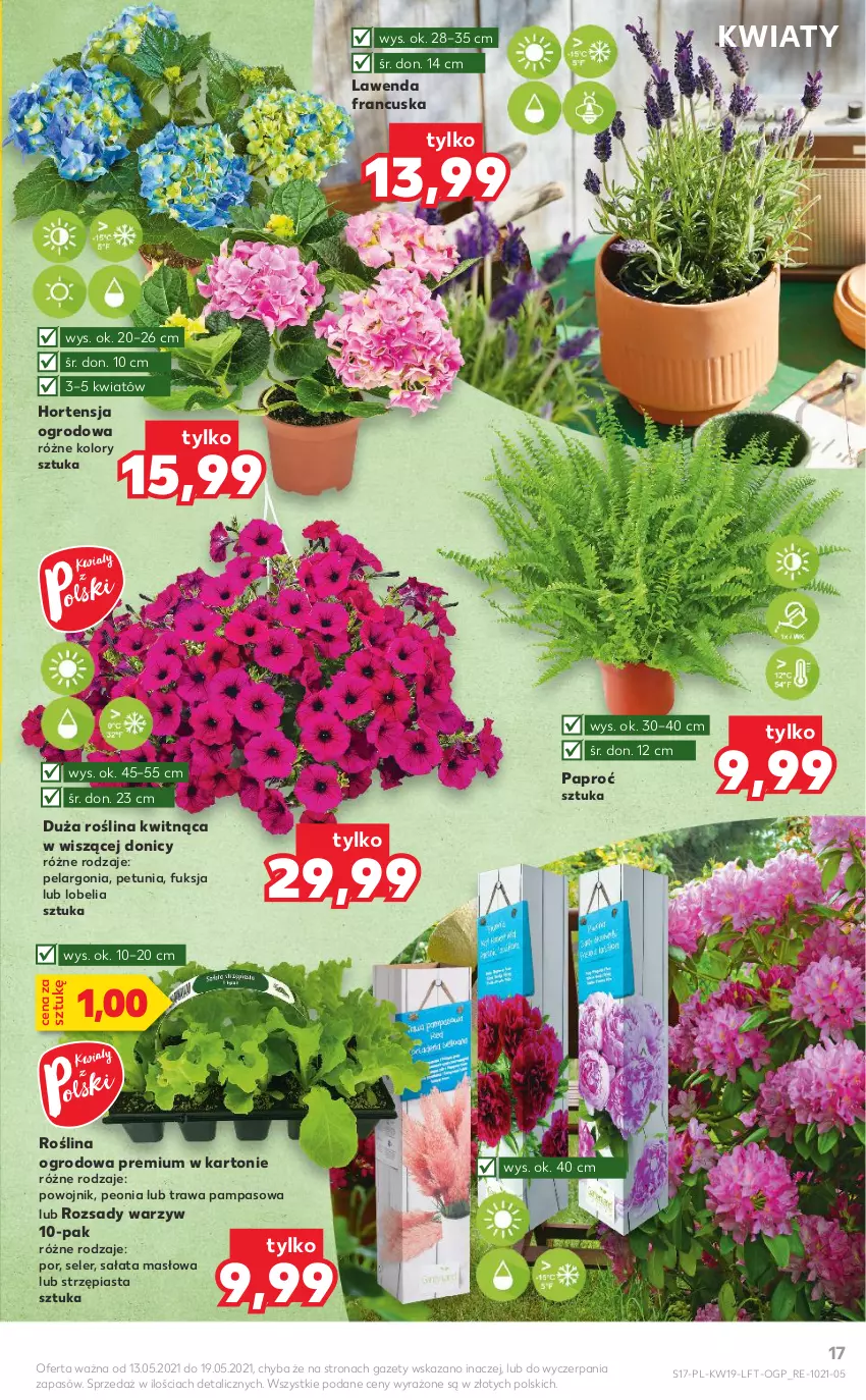 Gazetka promocyjna Kaufland - OFERTA TYGODNIA - ważna 13.05 do 19.05.2021 - strona 17 - produkty: Masło, Piast, Por, Sałat, Sałata masłowa