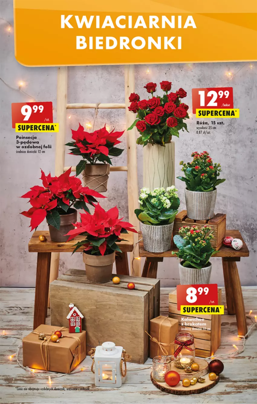 Gazetka promocyjna Biedronka - W tym tygodniu  P - ważna 21.11 do 26.11.2022 - strona 17 - produkty: Róża, Sok