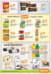 Gazetka promocyjna Gama - Gazetka Gama - Gazetka - ważna od 19.03 do 19.03.2024 - strona 9 - produkty: Piec, Domestos, Koncentrat pomidorowy, Makaron, Ser, Gra, Worki na śmieci, Kukurydza konserwowa, Lody, Fasola, Miód, Worki na śmiec, Płyn do wc, Groszek, Kukurydza, Fa