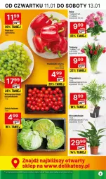 Gazetka promocyjna Delikatesy Centrum - Dyskontowe ceny w Delikatesach Centrum - Gazetka - ważna od 17.01 do 17.01.2024 - strona 9 - produkty: Sok, Sałata lodowa, Tulipan, Papryka, Pomidorki, Sałat, Winogrona, Bukiet, Wino