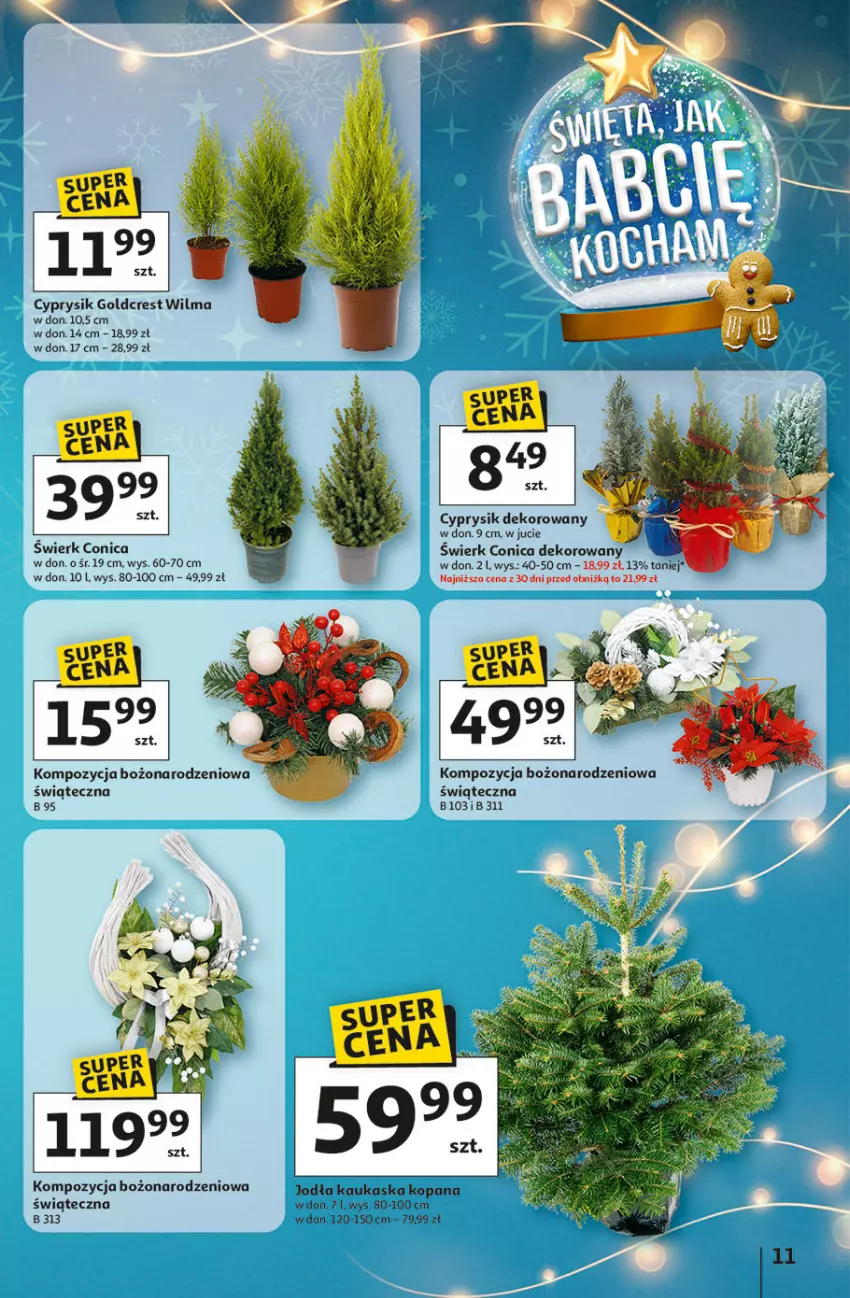 Gazetka promocyjna Auchan - Święta jak babcię kocham Hipermarket - ważna 04.12 do 10.12.2025 - strona 11 - produkty: Cyprysik, Kask