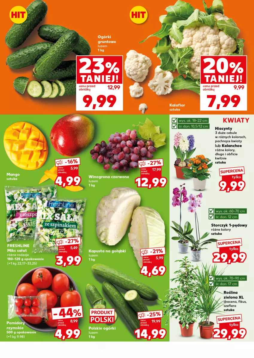 Gazetka promocyjna Kaufland - Mocny Start - ważna 02.02 do 04.02.2026 - strona 9 - produkty: Fa, Grunt, Hiacynt, Kalafior, Kalanchoe, LG, Pomidory, Sałat, Storczyk, Wino, Winogrona