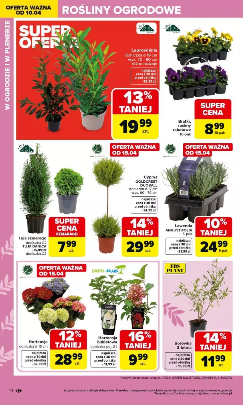 Gazetka promocyjna Carrefour - Gazetka Ogród, gdzie kwitnie życie - ważna 07.04 do 02.05.2026 - strona 14 - produkty: Borówka, Bukiet