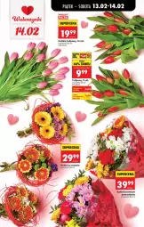 Gazetka promocyjna Biedronka - Gazetka - Gazetka - ważna od 19.02 do 19.02.2026 - strona 19 - produkty: Sok, Tulipan, Bukiet
