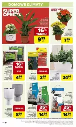 Gazetka promocyjna Carrefour - Gazetka - ważna od 08.02 do 08.02.2025 - strona 37 - produkty: Por, Sati, Aloe vera, Mars, Mydło, Osłonka, Fa
