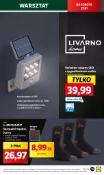 Gazetka promocyjna Lidl - GAZETKA - Gazetka - ważna od 27.01 do 27.01.2024 - strona 41 - produkty: Sok, Karp, Skarpetki, Reflektor