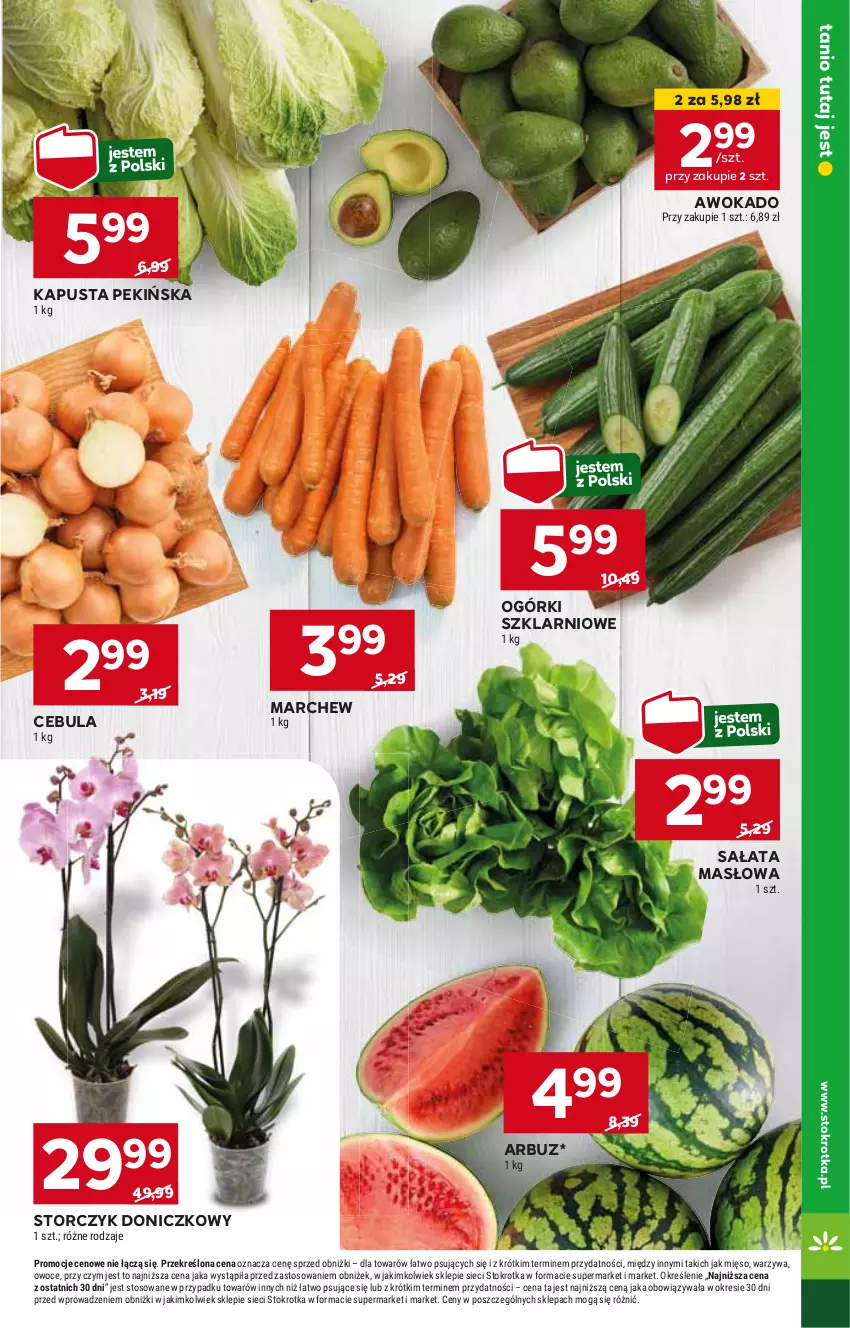 Gazetka promocyjna Stokrotka - Market - ważna 16.05 do 22.05.2024 - strona 7 - produkty: Arbuz, Cebula, Masło, Sałat, Sałata masłowa, Storczyk