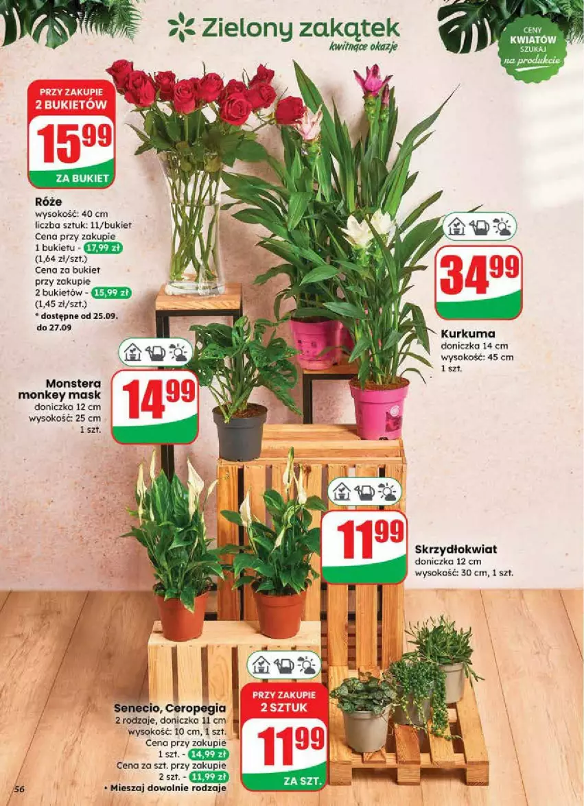 Gazetka promocyjna Dino - ważna 24.09 do 30.09.2025 - strona 52 - produkty: Bukiet, Kurkuma, Sok, Tera