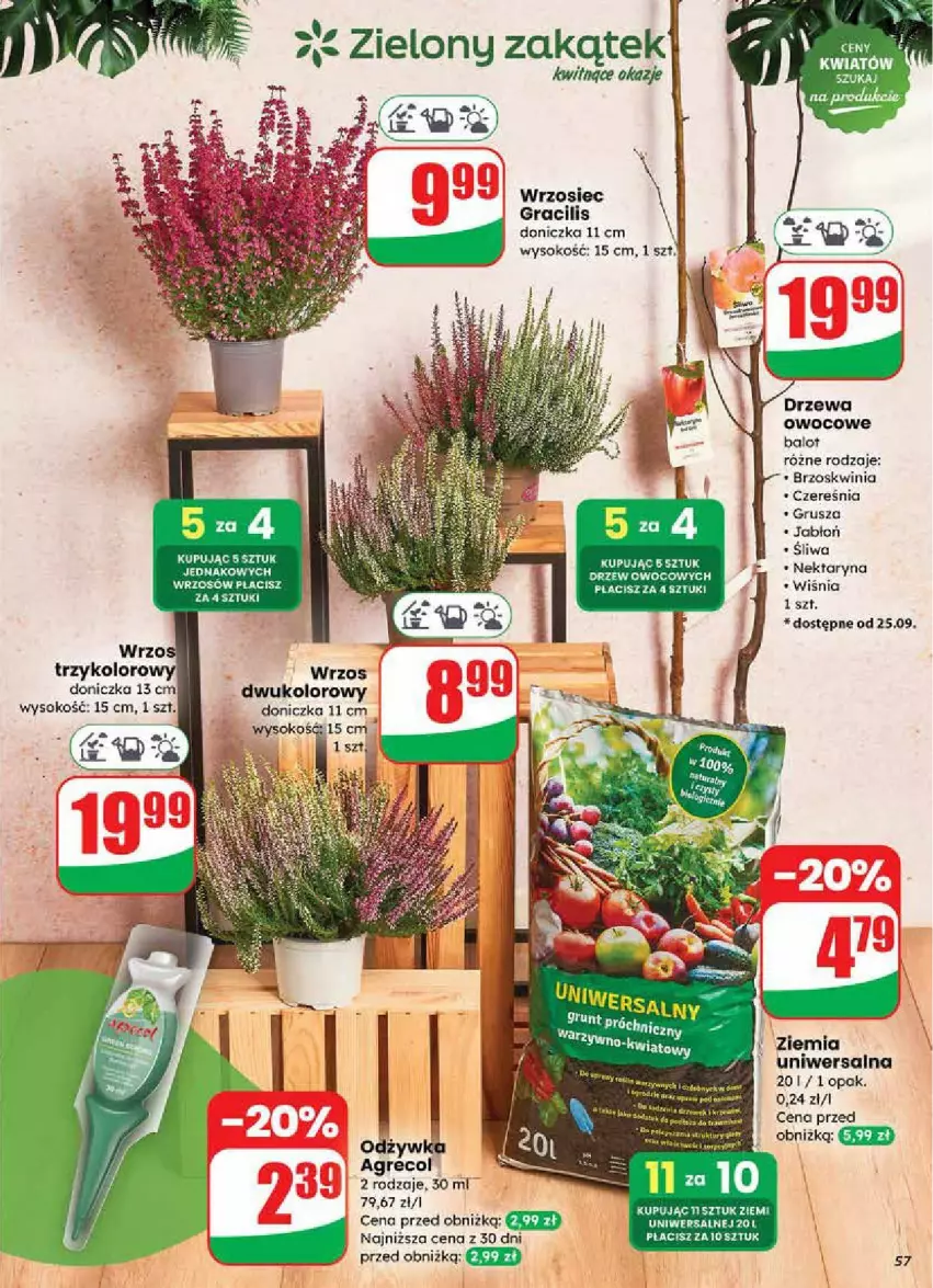 Gazetka promocyjna Dino - ważna 24.09 do 30.09.2025 - strona 53 - produkty: Gra, Nektar, Odżywka, Saga, Sok