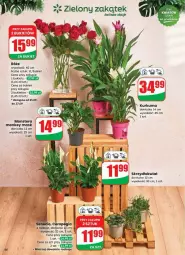 Gazetka promocyjna Dino - Gazetka - ważna od 30.09 do 30.09.2025 - strona 52 - produkty: Kurkuma, Sok, Tera, Bukiet