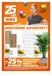 Gazetka promocyjna Obi - Gazetka OBI - Gazetka - ważna od 03.10 do 03.10.2023 - strona 1 - produkty: Skrzydło drzwiowe, Palma, Drzwi, Gres