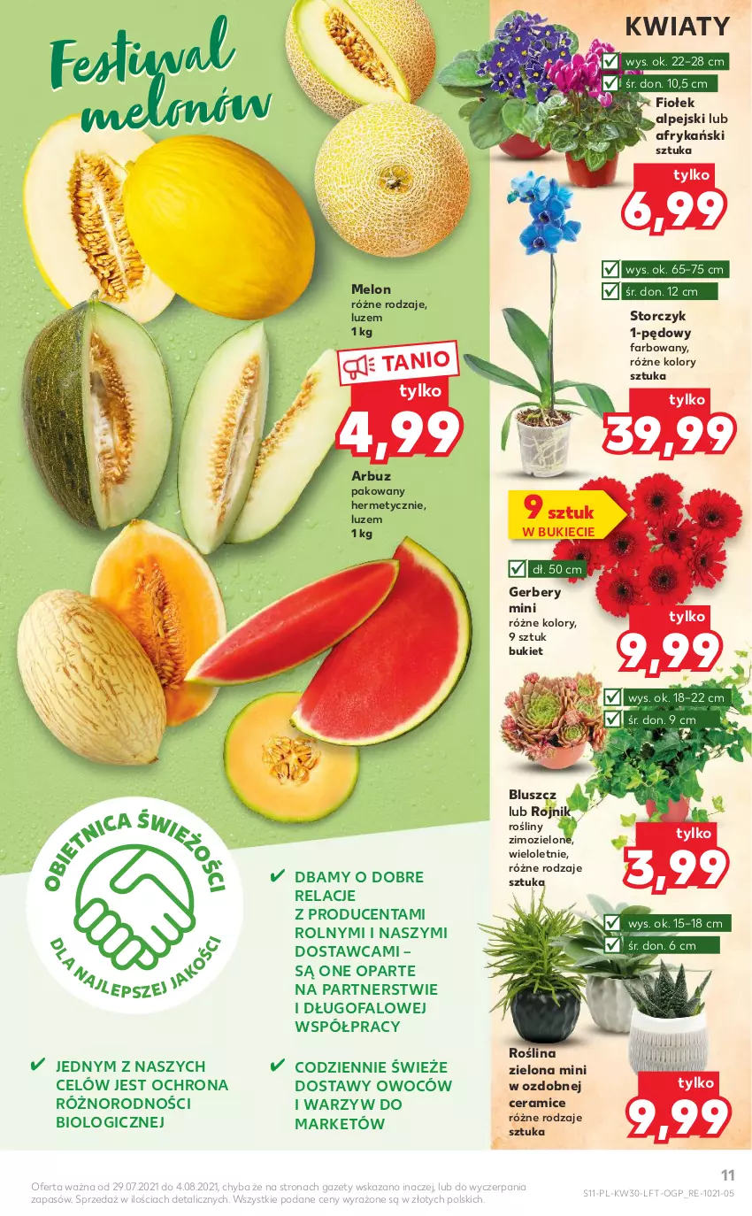 Gazetka promocyjna Kaufland - OFERTA TYGODNIA - ważna 29.07 do 04.08.2021 - strona 11 - produkty: Arbuz, Bukiet, Fa, Gerber, Melon, Storczyk