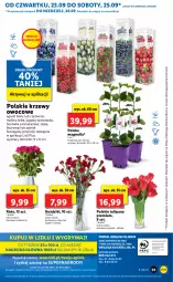 Gazetka promocyjna Lidl - GAZETKA - Gazetka - ważna od 26.09 do 26.09.2021 - strona 59 - produkty: Gry, Borówka, Borówka amerykańska, Tulipan, Mola, Bukiet, Gres