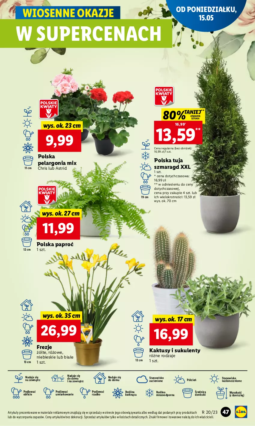 Gazetka promocyjna Lidl - GAZETKA - ważna 15.05 do 17.05.2023 - strona 47 - produkty: Astrid, Cień, Kaktus, O nas, Por, Sok, Sukulent