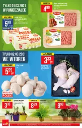 Gazetka promocyjna PoloMarket - Gazetka promocyjna  r - Gazetka - ważna od 02.03 do 02.03.2021 - strona 6 - produkty: Cyklamen, Tera, Laur