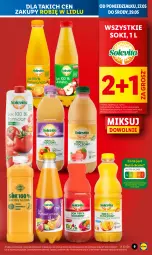 Gazetka promocyjna Lidl - GAZETKA - Gazetka - ważna od 29.05 do 29.05.2024 - strona 9 - produkty: Sok, Wazon