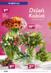 Gazetka promocyjna Aldi - ALE! CENA w ALDI - Gazetka - ważna od 13.03 do 13.03.2021 - strona 30 - produkty: Gerber, Tulipan, Bukiet, Narcyz