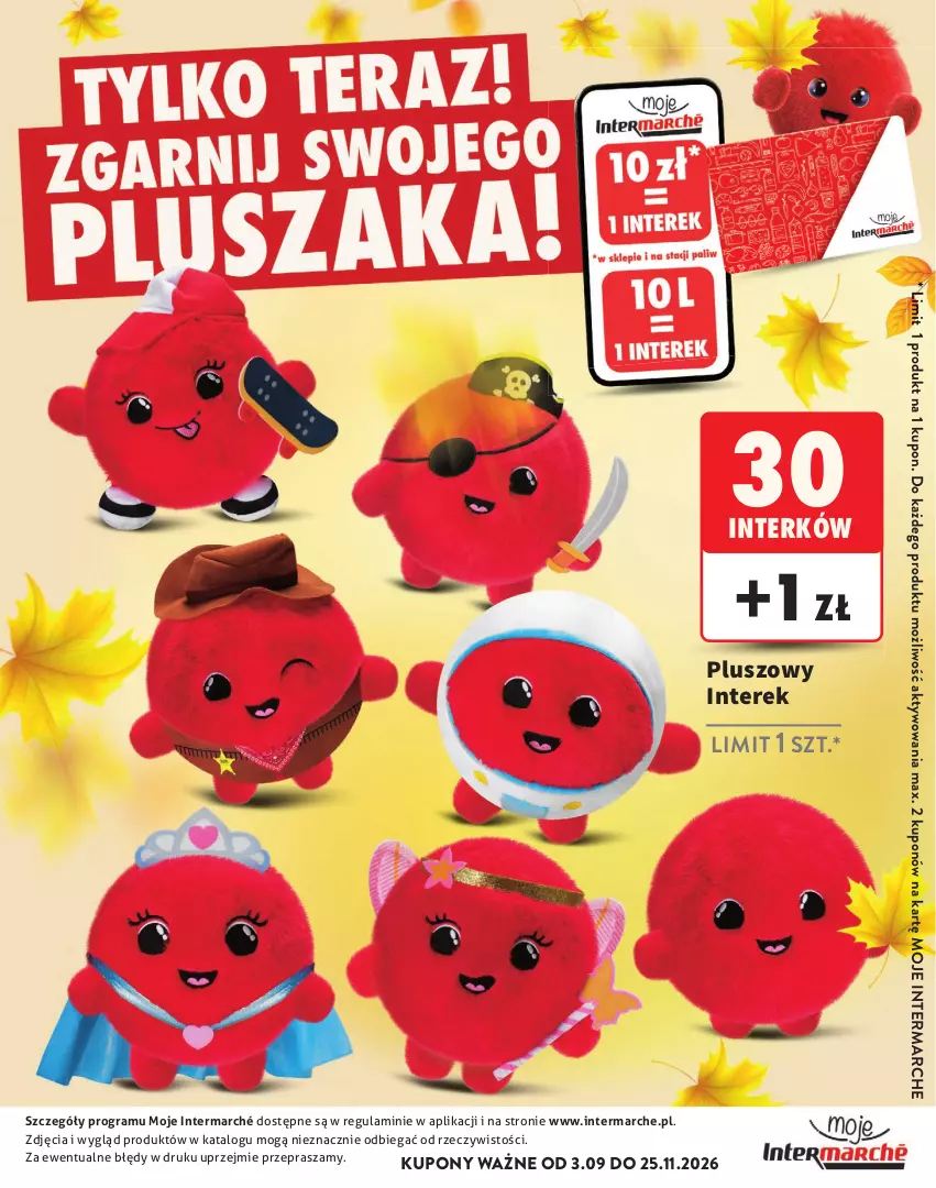 Gazetka promocyjna Intermarche - Katalog Interki - ważna 03.09 do 25.11.2026 - strona 33 - produkty: Gra