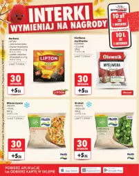 Gazetka promocyjna Intermarche - Katalog Interki - Gazetka - ważna od 25.11 do 25.11.2026 - strona 18 - produkty: Frosta, Borówka, Lipton, Owoce, Herbata, Kiełbasa, Olewnik