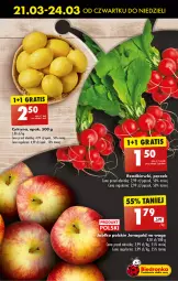 Gazetka promocyjna Biedronka - Od czwartku - Gazetka - ważna od 27.03 do 27.03.2024 - strona 21 - produkty: Jonagold, Leon